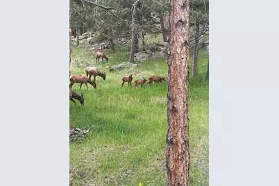 1715 Foothills Drive, Golden, CO 80401 - Photo 39