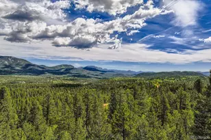 1288 Royal Ridge Dr, Bailey, CO 80421 - Photo 3