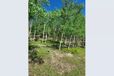 000 Frank C, Idaho Springs, CO 80452 - Photo 19