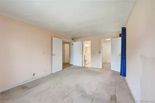 907 S Yampa St, Aurora, CO 80017 - Photo 23