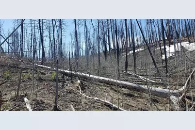 Lot's 854,855 Slaoui Place, Fort Garland, CO 81133 - Photo 5