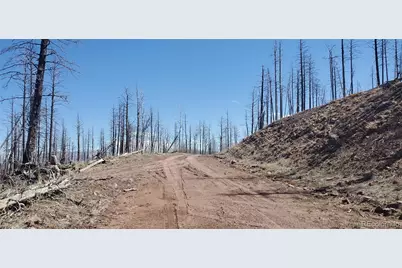 Lot's 854,855 Slaoui Place, Fort Garland, CO 81133 - Photo 11