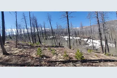 Lot's 854,855 Slaoui Place, Fort Garland, CO 81133 - Photo 3