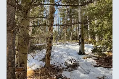 Lot 5252 Scott Road, Fort Garland, CO 81133 - Photo 19
