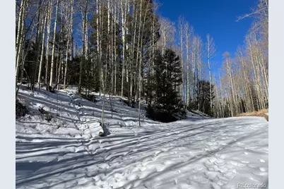 Lot 5252 Scott Road, Fort Garland, CO 81133 - Photo 11