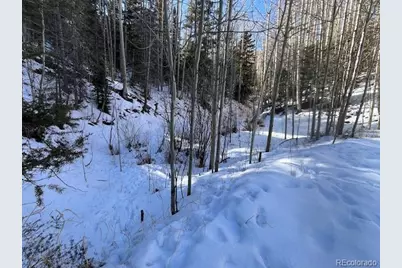 Lot 5252 Scott Road, Fort Garland, CO 81133 - Photo 9