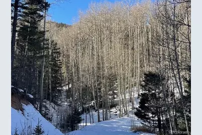 Lot 5252 Scott Road, Fort Garland, CO 81133 - Photo 1