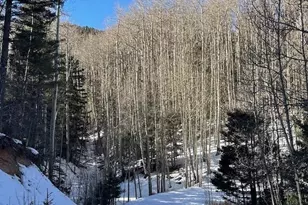 Lot 5252 Scott Rd, Fort Garland, CO 81133 - Photo 1