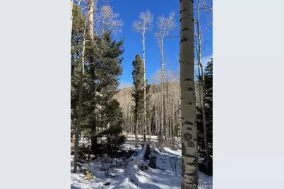 Lot 5252 Scott Road, Fort Garland, CO 81133 - Photo 21