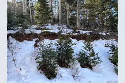 Lot 5252 Scott Road, Fort Garland, CO 81133 - Photo 3