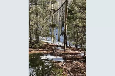 Lot 5252 Scott Road, Fort Garland, CO 81133 - Photo 23
