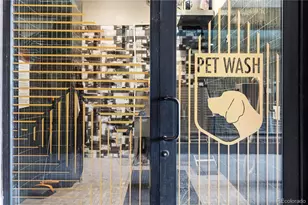 20 Wilcox St, Castle Rock, CO 80104 - Photo 11