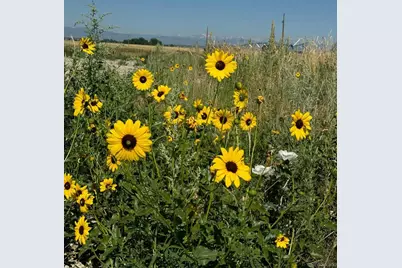 12441 Tower Road, Commerce City, CO 80022 - Photo 31