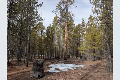 179 Cedar Drive, Twin Lakes, CO 80461 - Photo 1