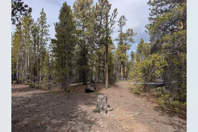 179 Cedar Drive, Twin Lakes, CO 80461 - Photo 5