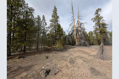 179 Cedar Drive, Twin Lakes, CO 80461 - Photo 9