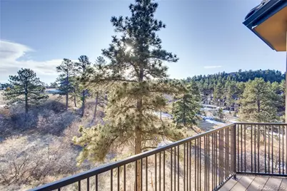 1696 Avenida Del Sol, Castle Rock, CO 80104 - Photo 33