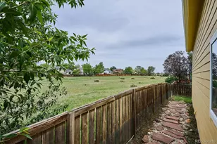 525 Lindenwood Ct, Highlands Ranch, CO 80126 - Photo 23