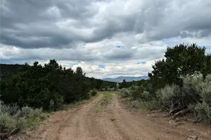 4535 Sarnoff Rd, Fort Garland, CO 81133 - Photo 29