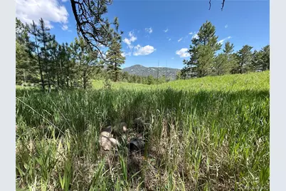 591599 Soul Shine Road, Drake, CO 80515 - Photo 41