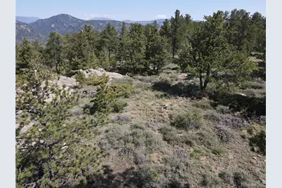 591599 Soul Shine Road, Drake, CO 80515 - Photo 15