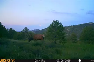 591599 Soul Shine Rd, Drake, CO 80515 - Photo 1