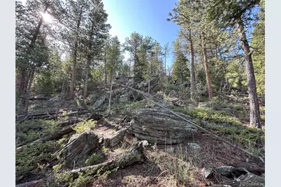 591599 Soul Shine Road, Drake, CO 80515 - Photo 37