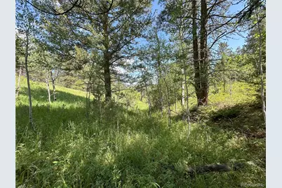 591599 Soul Shine Road, Drake, CO 80515 - Photo 43