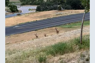 9962 W Victoria Place #106, Littleton, CO 80127 - Photo 23