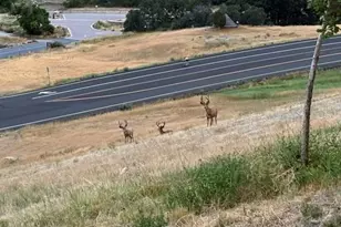 9962 W Victoria Pl, Littleton, CO 80127 - Photo 25