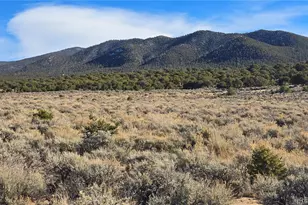 Lot 1075 Sylvia Rd, Fort Garland, CO 81133 - Photo 1