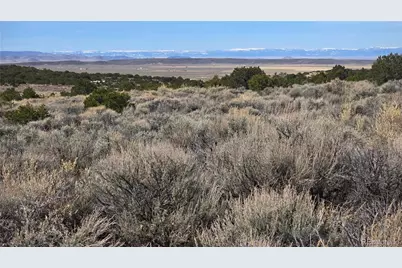 Lot 1075 Sylvia Road, Fort Garland, CO 81133 - Photo 3