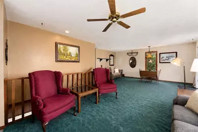 4360 Green Mountain Drive, Livermore, CO 80536 - Photo 11