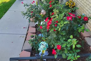 1375 S Newport St, Denver, CO 80224 - Photo 3