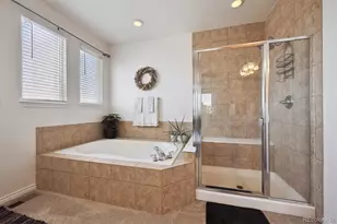 724 Imboden Rd, Watkins, CO 80137 - Photo 21