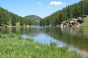 16335 Rustlers Range Pt, Monument, CO 80132 - Photo 31