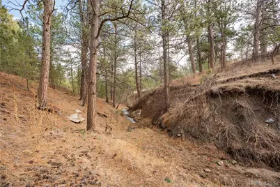 754 Highway 86, Elizabeth, CO 80107 - Photo 37