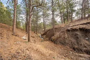 754 Hwy 86, Elizabeth, CO 80107 - Photo 37