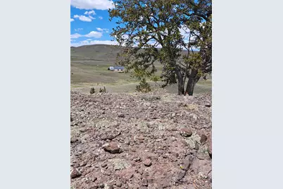 5250 Uxta Trail, Hartsel, CO 80449 - Photo 9