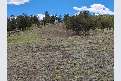 5250 Uxta Trail, Hartsel, CO 80449 - Photo 3