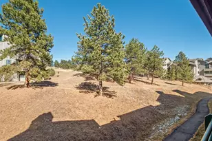 31819 Rocky Village Dr, Evergreen, CO 80439 - Photo 19