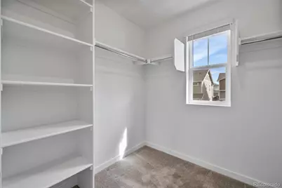 6234 Wild Rye Street, Loveland, CO 80538 - Photo 21