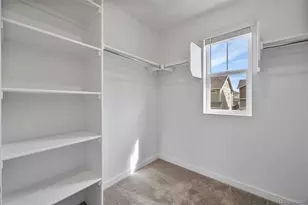 6234 Wild Rye St, Loveland, CO 80538 - Photo 21