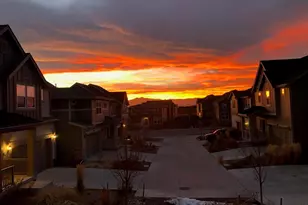 6234 Wild Rye St, Loveland, CO 80538 - Photo 35