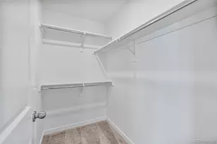 6234 Wild Rye St, Loveland, CO 80538 - Photo 25