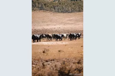 24870 Hwy 285, Fairplay, CO 80440 - Photo 13