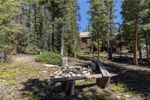 18 Puma Crossing, Fairplay, CO 80440 - Photo 17