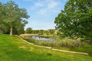 22920 E Roxbury Dr, Aurora, CO 80016 - Photo 29