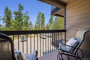 100 Bryant Blvd, Fraser, CO 80442 - Photo 7