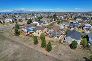 17016 Pale Anemone St, Parker, CO 80134 - Photo 47